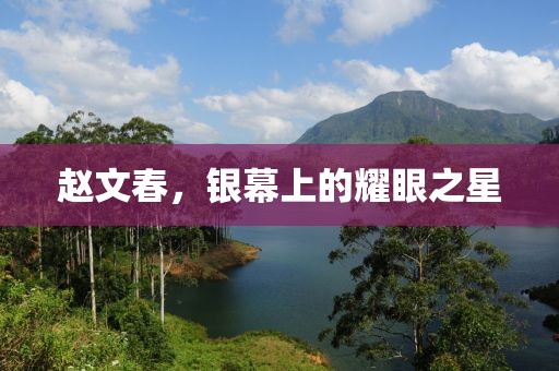 趙文春，銀幕上的耀眼之星