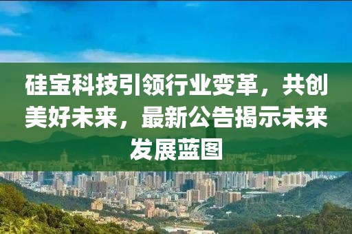 硅寶科技引領(lǐng)行業(yè)變革，共創(chuàng)美好未來，最新公告揭示未來發(fā)展藍(lán)圖