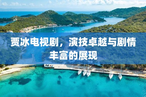 賈冰電視劇，演技卓越與劇情豐富的展現(xiàn)