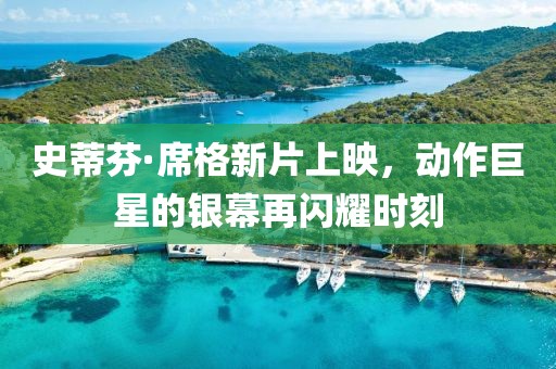 史蒂芬·席格新片上映，動作巨星的銀幕再閃耀時刻