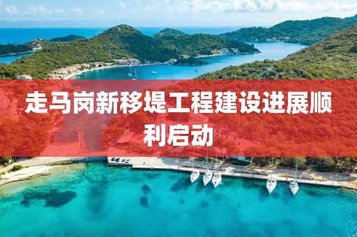 走馬崗新移堤工程建設(shè)進(jìn)展順利啟動(dòng)