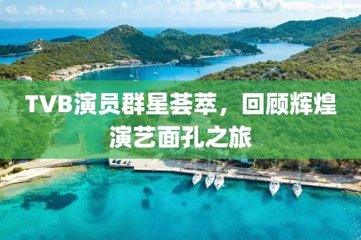 TVB演員群星薈萃，回顧輝煌演藝面孔之旅