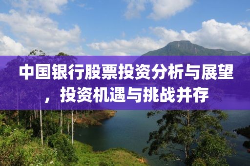 中國(guó)銀行股票投資分析與展望，投資機(jī)遇與挑戰(zhàn)并存