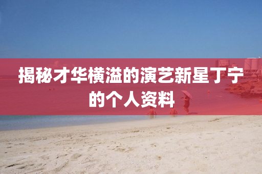揭秘才華橫溢的演藝新星丁寧的個人資料