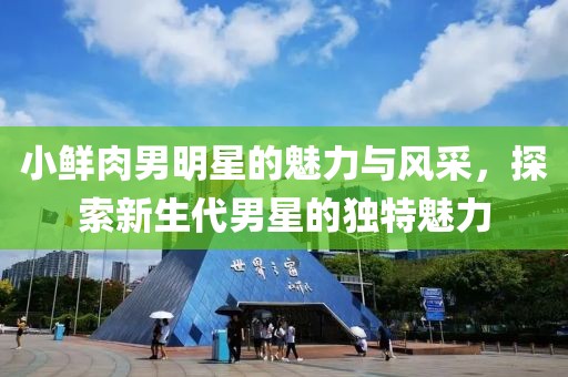 小鮮肉男明星的魅力與風(fēng)采，探索新生代男星的獨特魅力