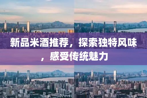 新品米酒推薦，探索獨(dú)特風(fēng)味，感受傳統(tǒng)魅力