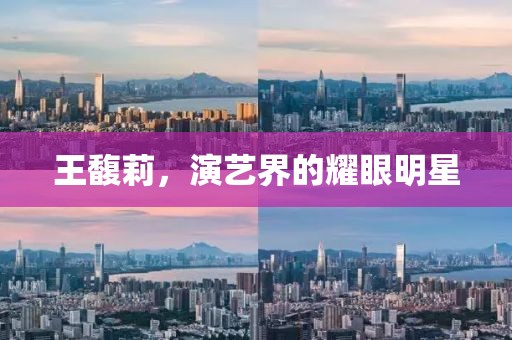 王馥莉，演藝界的耀眼明星