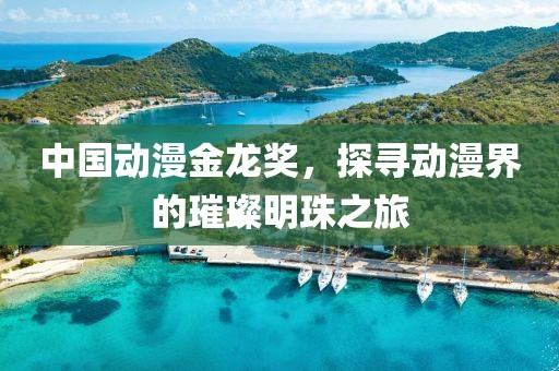 中國(guó)動(dòng)漫金龍獎(jiǎng)，探尋動(dòng)漫界的璀璨明珠之旅