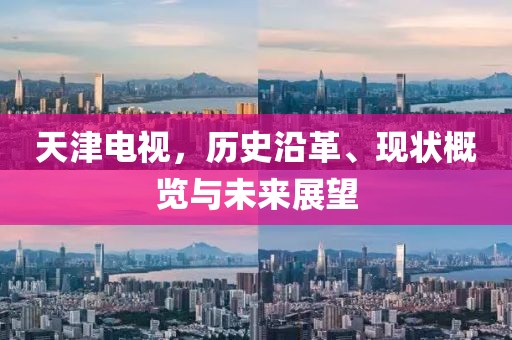天津電視，歷史沿革、現(xiàn)狀概覽與未來展望