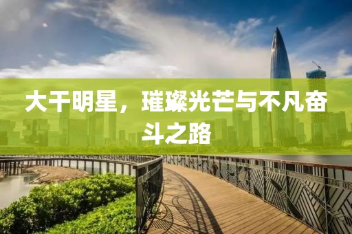 大干明星，璀璨光芒與不凡奮斗之路