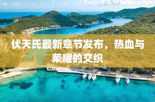 伏天氏最新章節(jié)發(fā)布，熱血與榮耀的交織