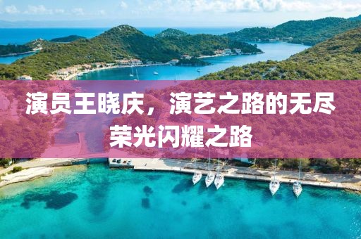 演員王曉慶，演藝之路的無盡榮光閃耀之路