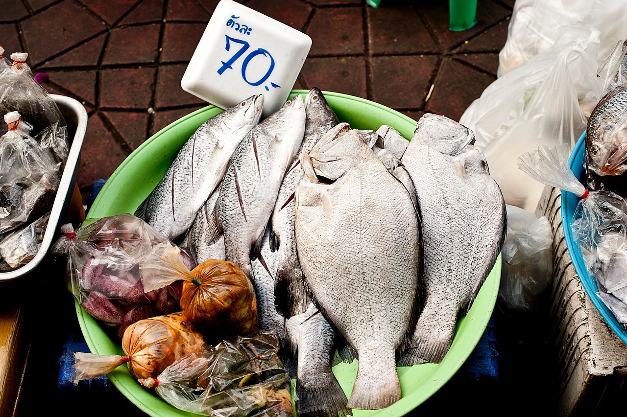 麻雞行情價(jià)格走勢(shì)及分析