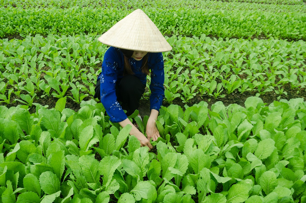 遼寧省陳必成聚焦發(fā)展與創(chuàng)新，最新動態(tài)揭秘