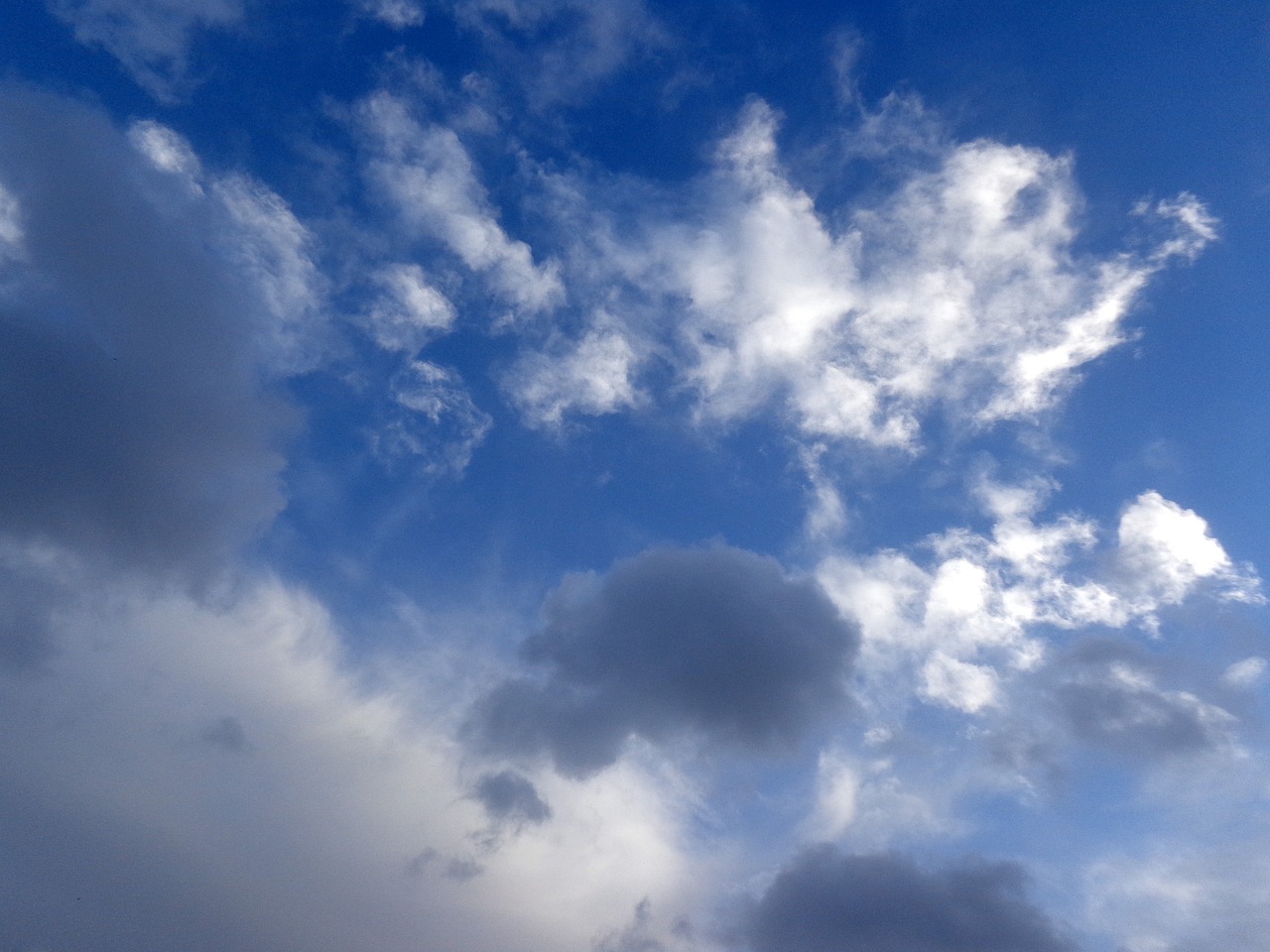 夷陵區(qū)最新天氣預(yù)報更新通知