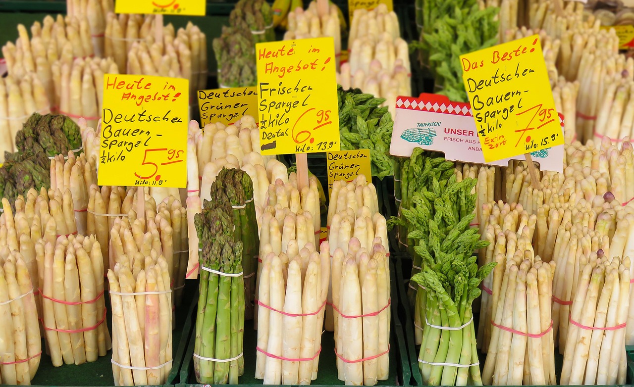 魚(yú)腥草價(jià)格走勢(shì)分析，市場(chǎng)趨勢(shì)、影響因素與未來(lái)預(yù)測(cè)