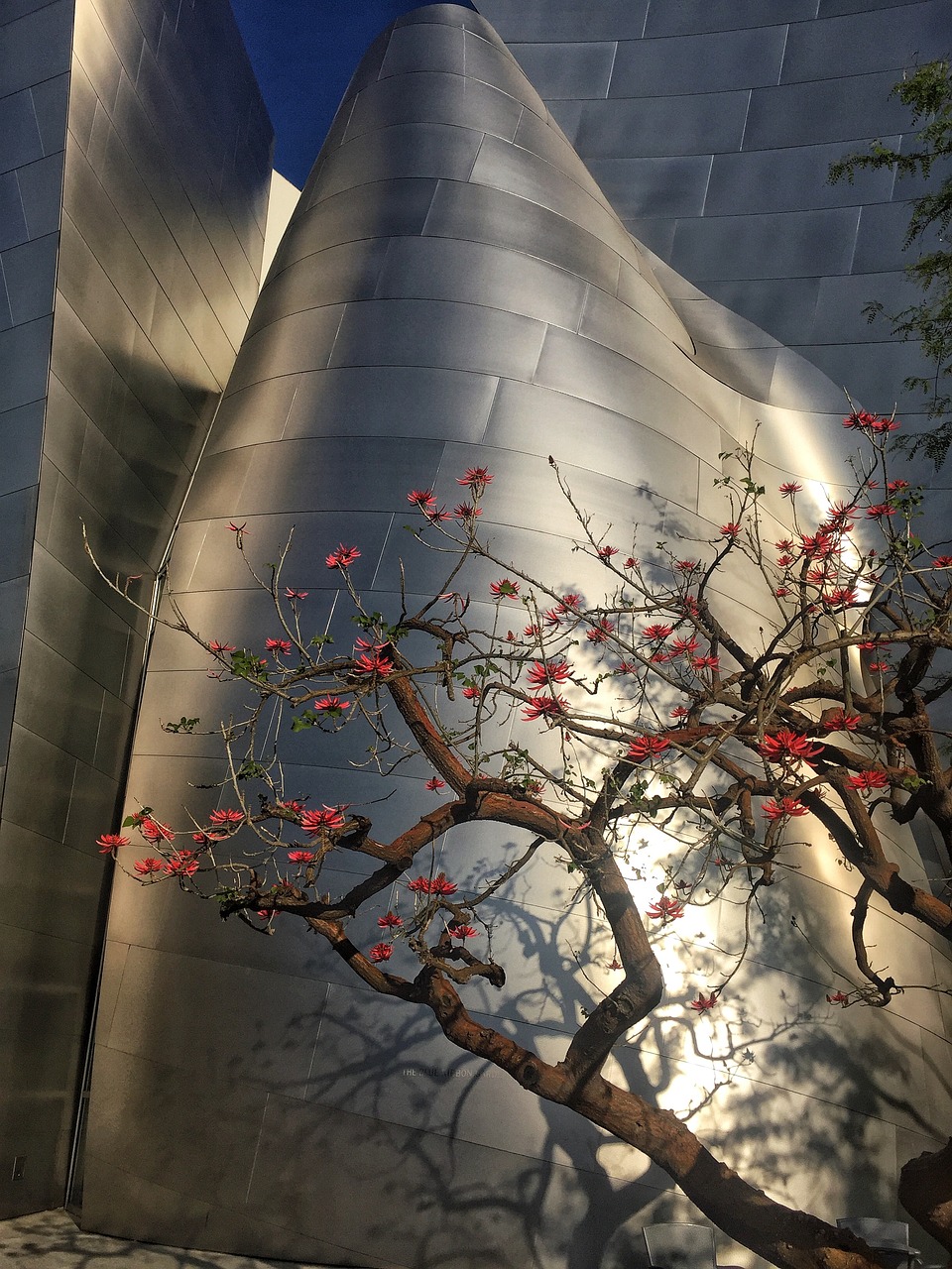 寧天城際二期最新進(jìn)展及未來(lái)展望，建設(shè)動(dòng)態(tài)與未來(lái)展望