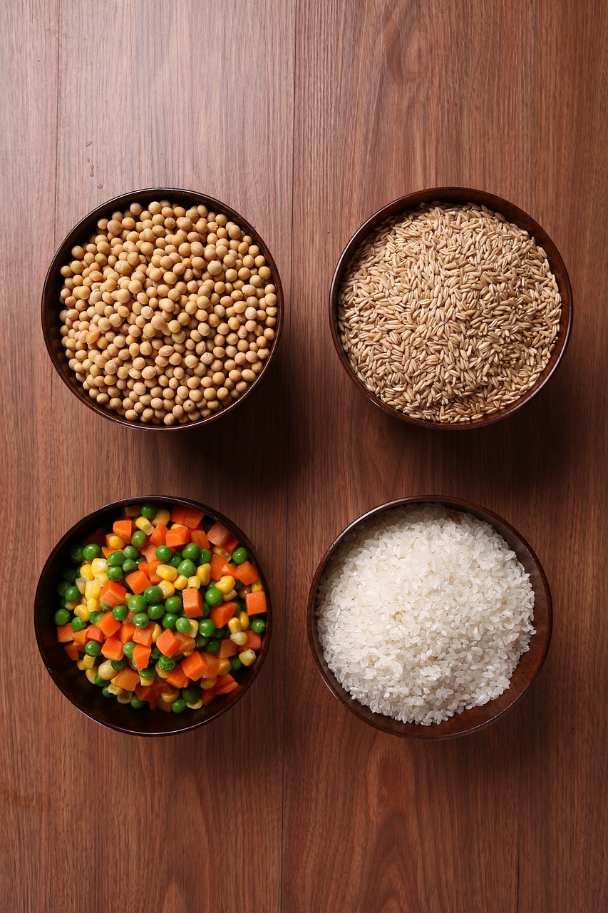 加加食品股票最新消息深度解析與動態(tài)關注