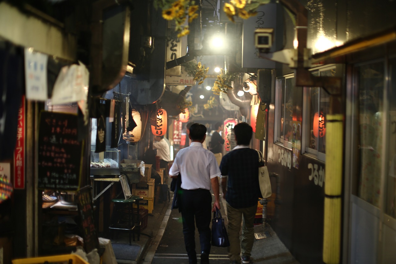 探索日本電影魅力之旅，多波野結(jié)衣電影的世界