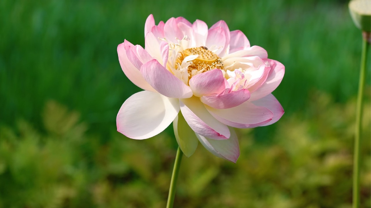 深A(yù)股市行情分析與展望，最新動(dòng)態(tài)及未來(lái)趨勢(shì)預(yù)測(cè)