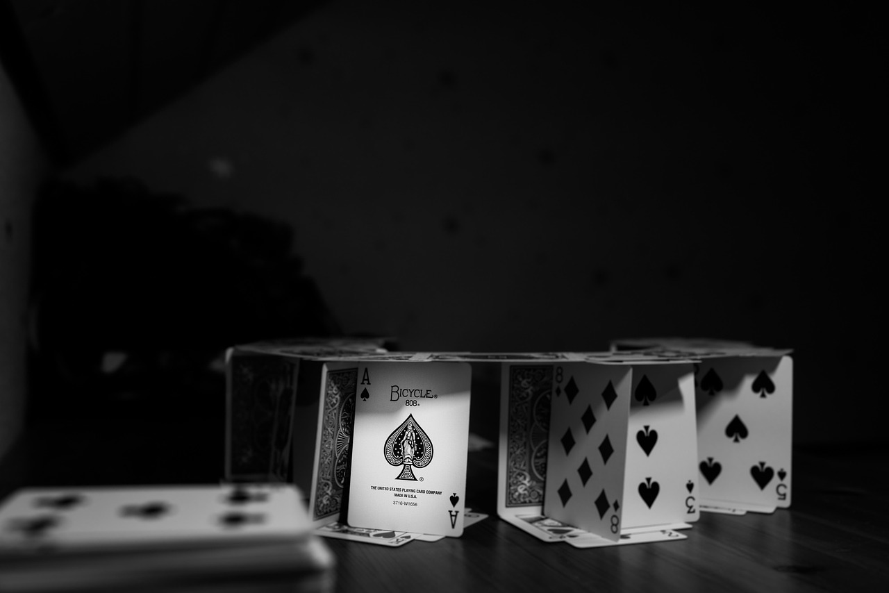 侍明星，閃耀背后的故事與光芒