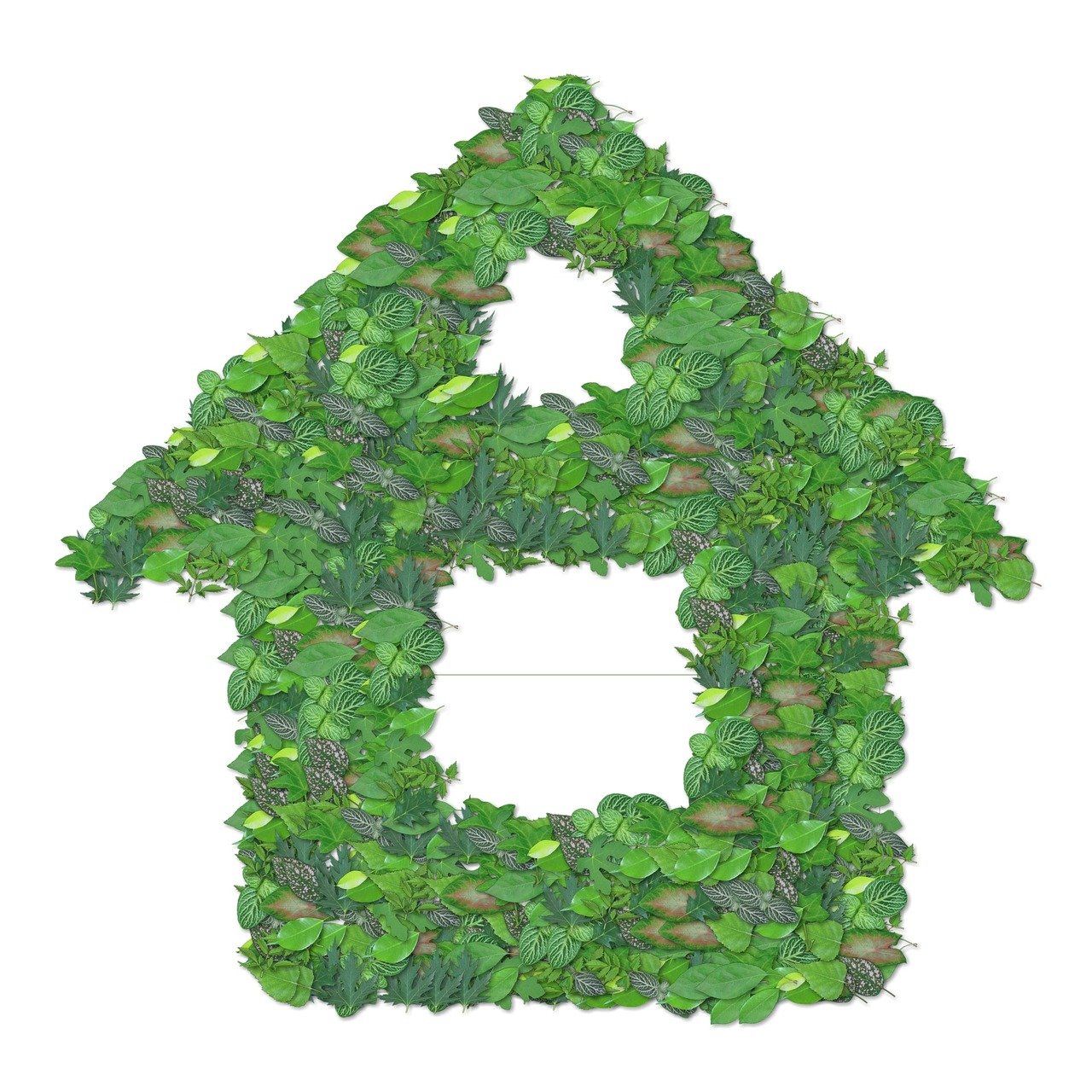 最新環(huán)保產(chǎn)品推薦，引領(lǐng)綠色生活之選
