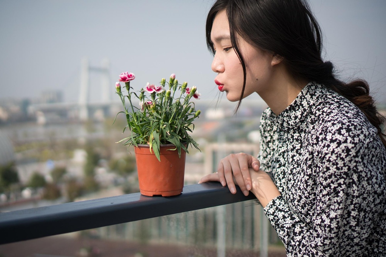 璀璨影視藝術(shù)之星，女演員表深度探究