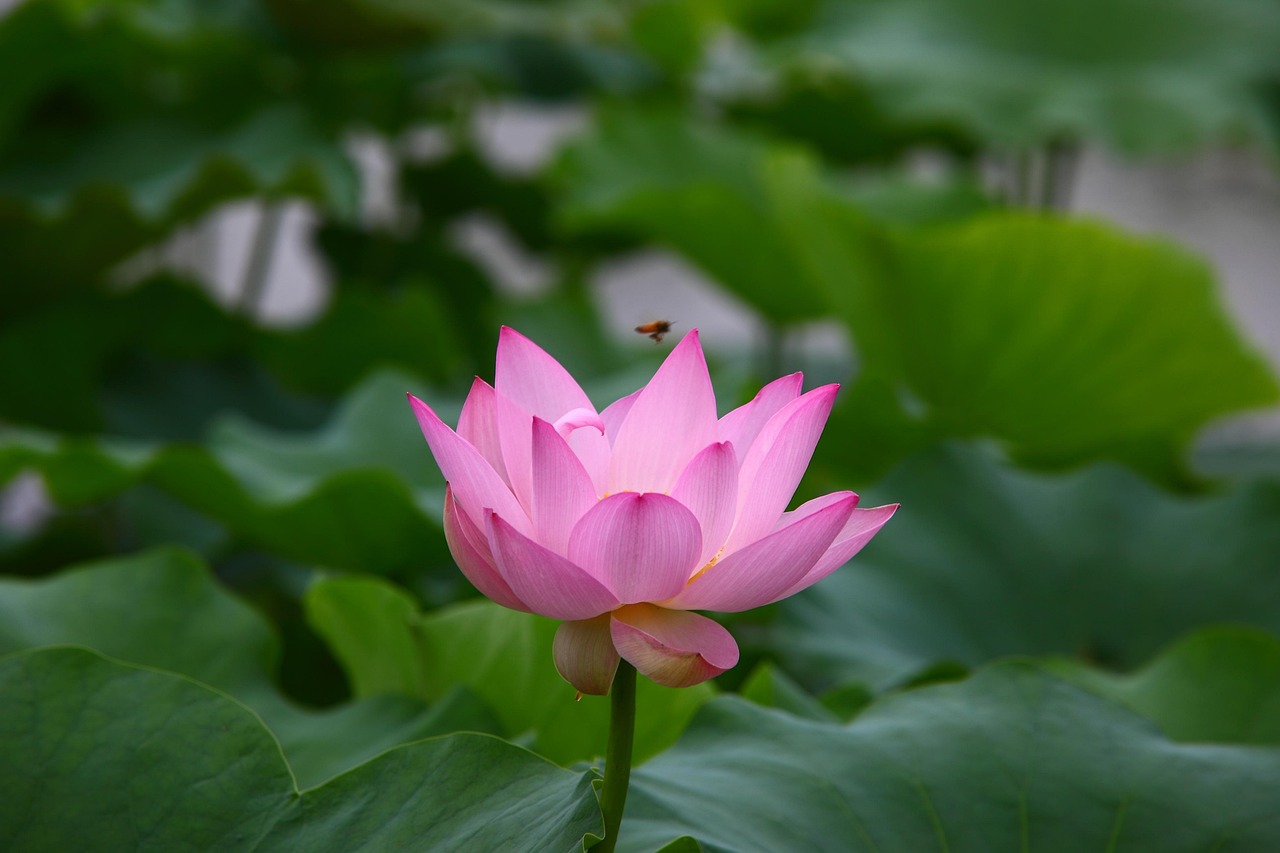 海潤引領(lǐng)行業(yè)變革，開啟未來新篇章，最新動(dòng)態(tài)揭秘！