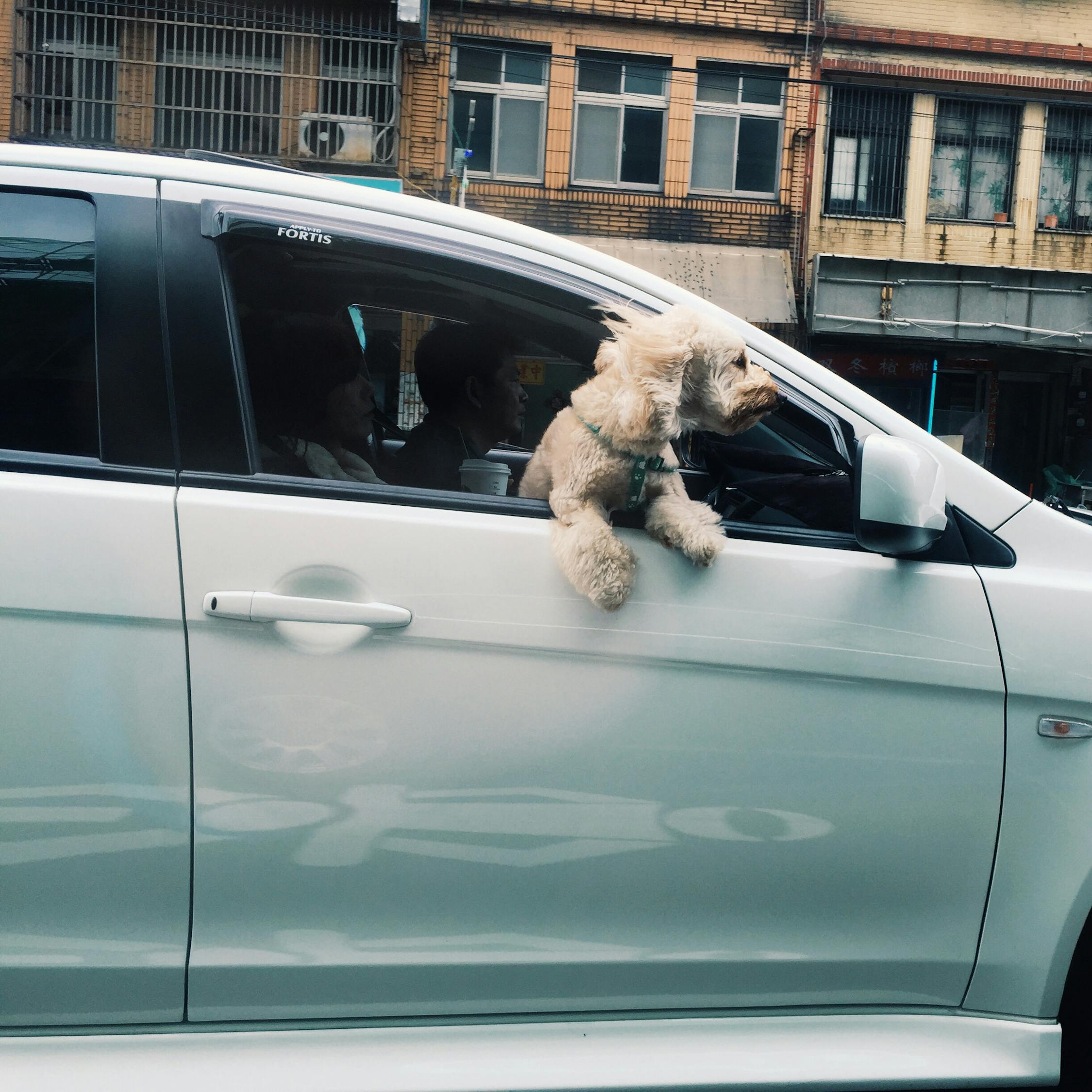 五月國產(chǎn)房車市場(chǎng)全景解析，最新圖片與價(jià)格一網(wǎng)打盡